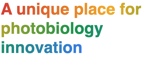 {{brizy_dc_image_alt imageSrc=