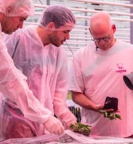 {{brizy_dc_image_alt imageSrc=