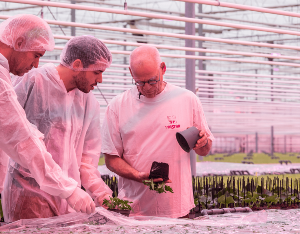 {{brizy_dc_image_alt imageSrc=