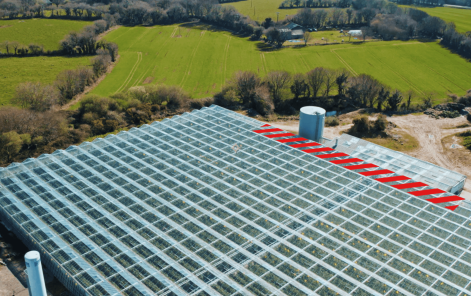 {{brizy_dc_image_alt imageSrc=